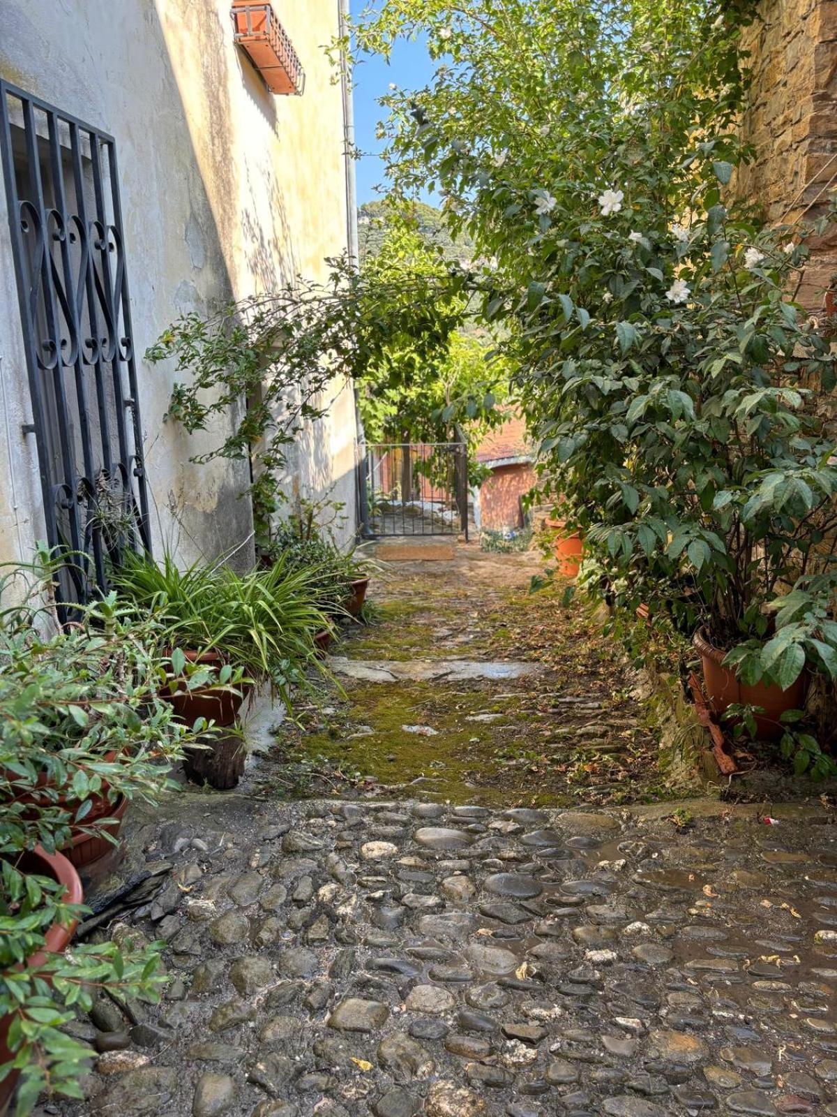 Casa Relax, Un Uliveto Sul Mare. Villa Diano San Pietro Buitenkant foto